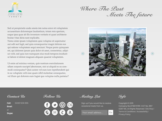 Real Estate: Song Long Website